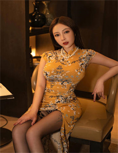 《法证先锋2粤语高清-少妇的秘密 电影》