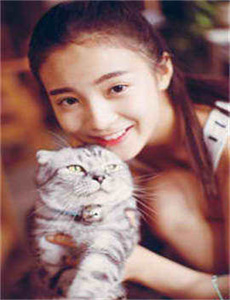 《久久精品动漫网一区二区-变性小说》